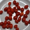 Lycium barbarum 'Big Berry' - Goji berry - Lycium barbarum 'Big Berry'