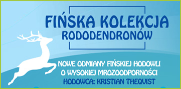 Fińska Kolekcja Rododendronów