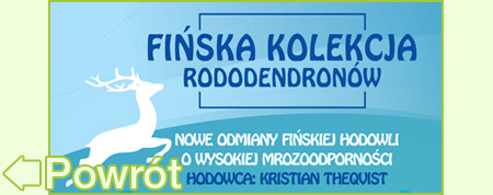 Fińska Kolekcja Rododendronów