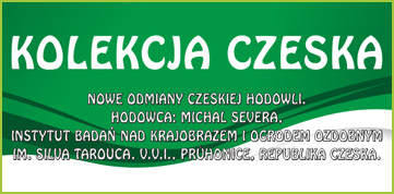 Kolekcja Czeska, Michal Severa