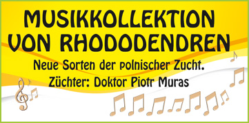 Musikkollektion von Rhododendren