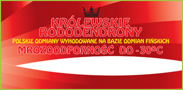 Królewskie Rododendrony