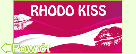 Rododendrony Rhodo-Kiss